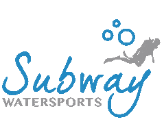 Mayan Princess Sticker