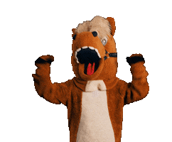 Excited Horse Sticker by PARTNER PFERD