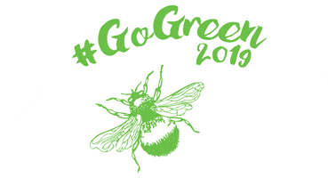 Irish Scout GIF by Scouting Ireland WSJ 2019