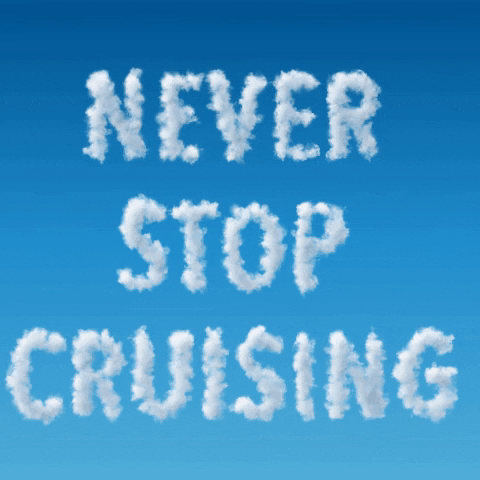 Cruising Cruise Vacation GIF by The Cruise Dudes