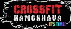crossfithamoshava GIF