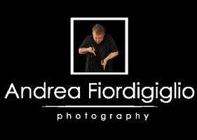 Fiordi GIF by AndreaFiordigiglio