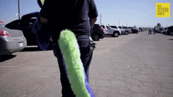 Walking Tail GIF by 60 Second Docs