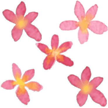 Flower Grow Sticker
