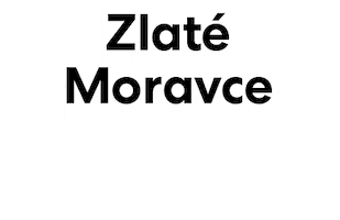 Volby Sticker by zaludi