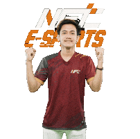 NFT ESPORT Sticker