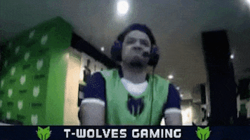 Beardabeast Twolves Gaming GIF by NBA 2K League