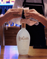Drink Drinking GIF by RumChata