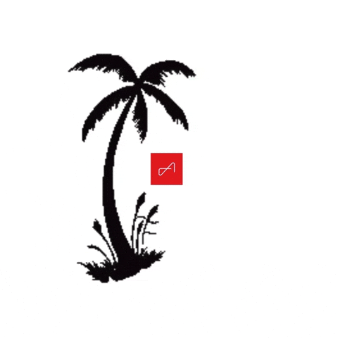 The Agency Hilton Head GIF