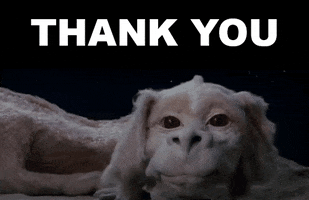 Movie gif. Falkor the dog-like dragon from The Neverending Story winks as if in thanks.  