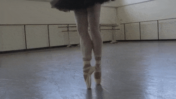 swan lake dance GIF by New York City Ballet