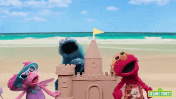 Beach Day GIF by Sesame Street