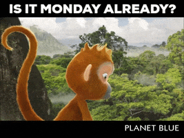 Curious George Monday GIF by Planet Blue