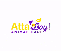 Atta Boy! Animal Care GIF