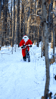 Santa Claus Christmas GIF by PureADK