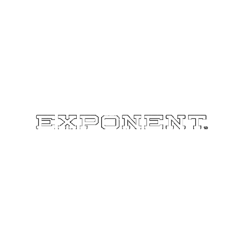 Exponent Energy Sticker