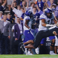 Horned Frogs Jump GIF by TCU Football