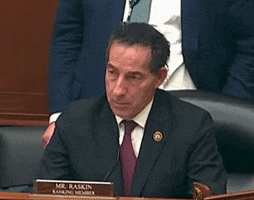 Whats Happening Congress GIF by GIPHY News