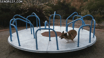 Merry Go Rounds GIFs - Get the best GIF on GIPHY
