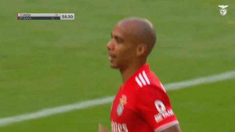 Sl Benfica Applause GIF by Sport Lisboa e Benfica - Find & Share on GIPHY