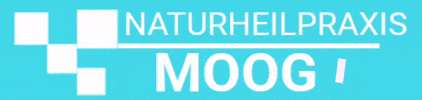 GIF by Naturheilpraxis Moog