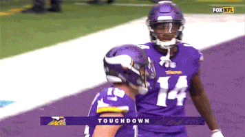Minnesota Vikings GIF
