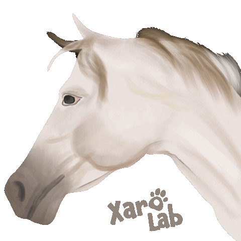 Horse Lab Sticker by Nutripa