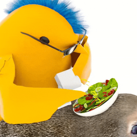 Brrd GIF