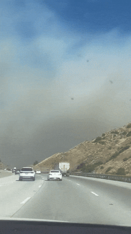 Southern California Smoke GIF by Storyful