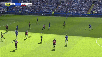 chelsea GIF by nss sports