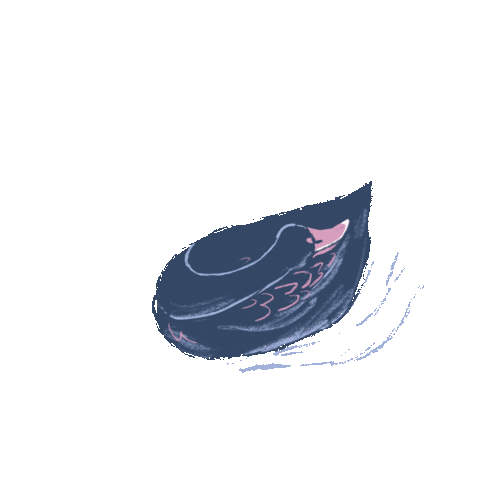Illustration Sticker