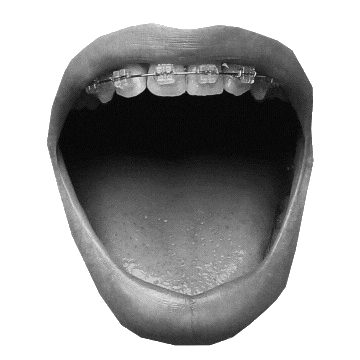 cognamentos Sticker