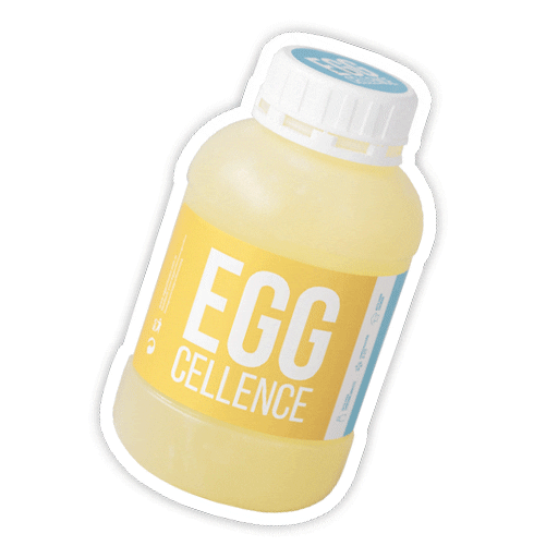 eggcellencearg Sticker