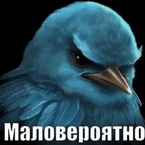 Blue Bird GIF