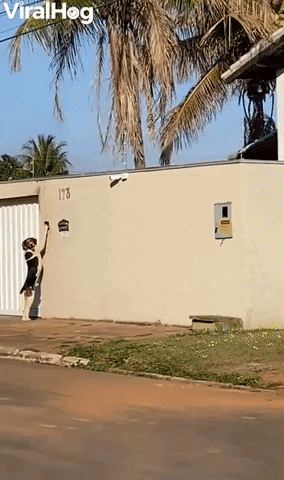 Clever Doggy Rings Doorbell To Get Through Gate GIF by ViralHog