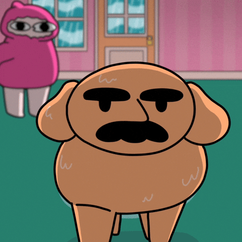 Shocked Wet Dog GIF by KETNIPZ