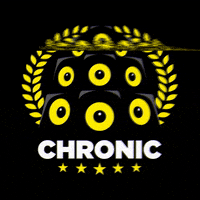 Reggae Dancehall GIF by Chronic Sound