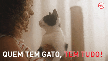 Gato Preto Tem Tudo GIF by Royal Canin Brasil