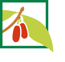 Herbst Frucht Sticker by pielachtal