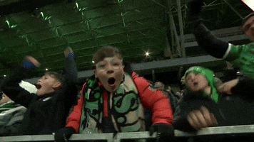 Happy Geoffroy-Guichard GIF by AS Saint-Étienne