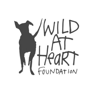 Wildatheartfoundation Sticker