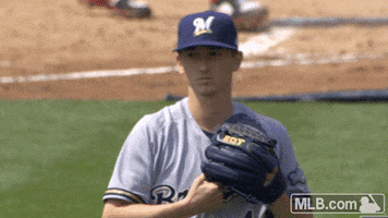 milwaukee brewers kyle GIF by MLB