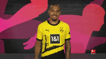 Borussia Dortmund Hello GIF by Bundesliga