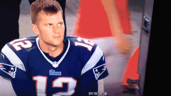 Tom Creeper GIF - Find & Share on GIPHY
