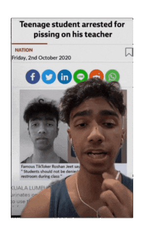 Realbullshat Sticker