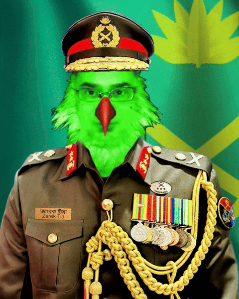 Bangladesh GIF