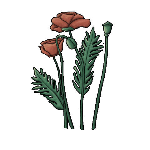 Flower Sticker by AngelinaBorgwardt