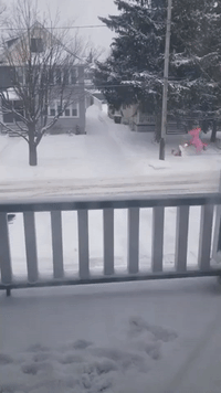 Man in Pink Unicorn Costume Clears Snow in Ohio Neighborhood