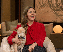 Dog Puppy GIF by The Drew Barrymore Show