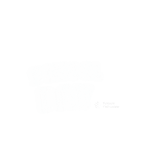 colegiopalmares Sticker